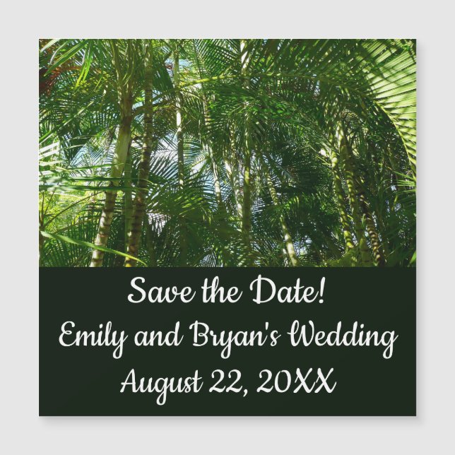 Forest of Palm Trees Tropical Nature (Front)