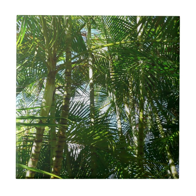 Forest of Palm Trees Tropical Nature Ceramic Tile (Front)