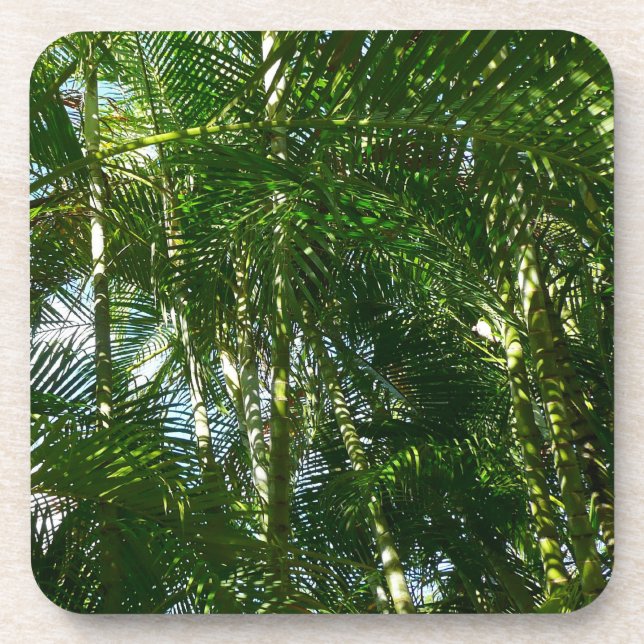 Forest of Palm Trees Tropical Nature Coaster (Front)