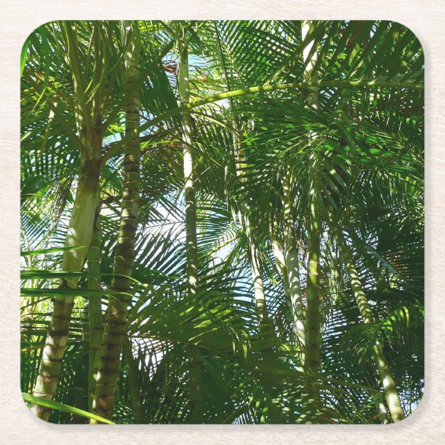 Forest of Palm Trees Tropical Nature Square Paper Coaster (Front)