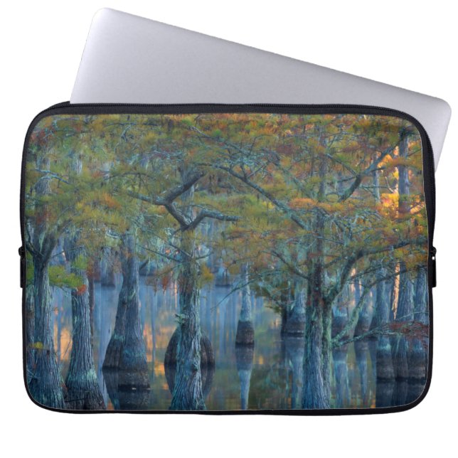 Forest of Pond Cypress Trees Laptop Sleeve (Front)