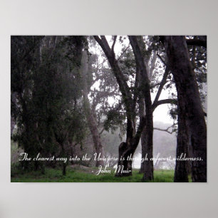 Forest of Trees in Mist Muir Quote Poster