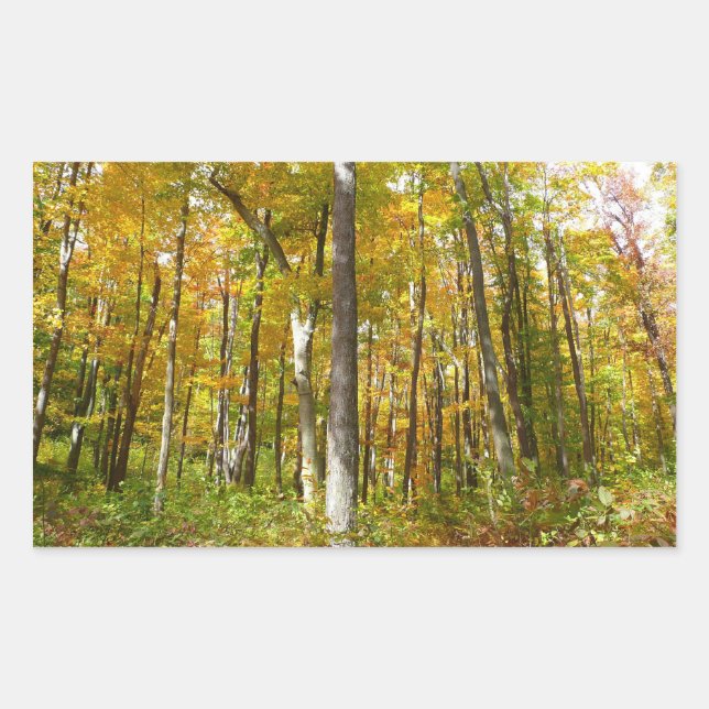 Forest of Yellow Leaves Autumn Landscape Rectangular Sticker (Front)