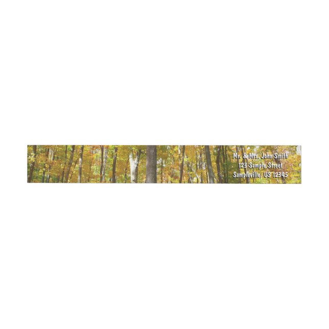 Forest of Yellow Leaves Autumn Landscape Wrap Around Label (Individual)