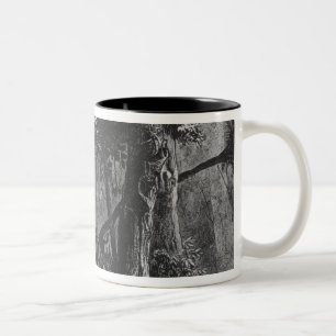 Forest Opening from 'Bresil, Columbie at Two-Tone Coffee Mug