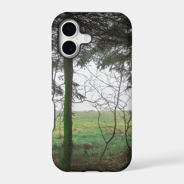 Forest overlooking clearing in the fog (Back)