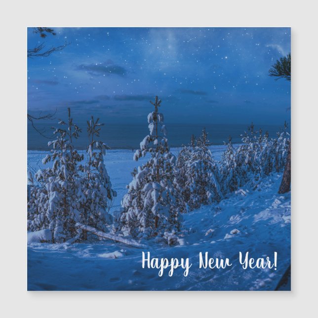 Forest path at winter night (Front)