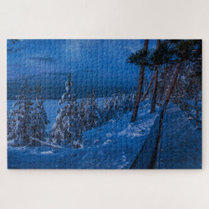 Forest path at winter night jigsaw puzzle
