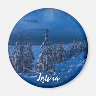 Forest path at winter night magnet