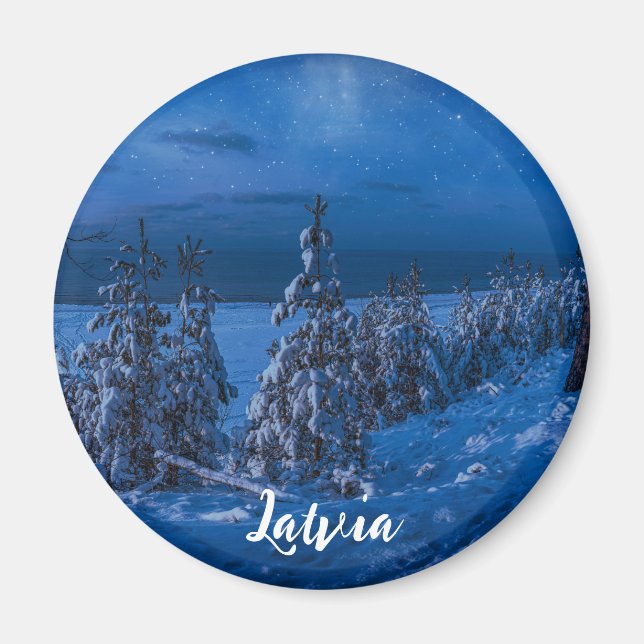 Forest path at winter night magnet (Front)