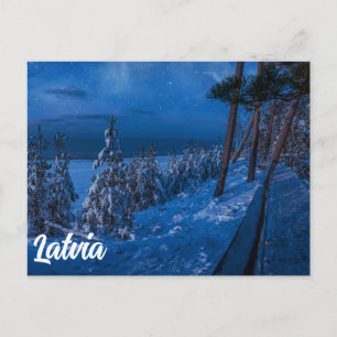 Forest path at winter night postcard