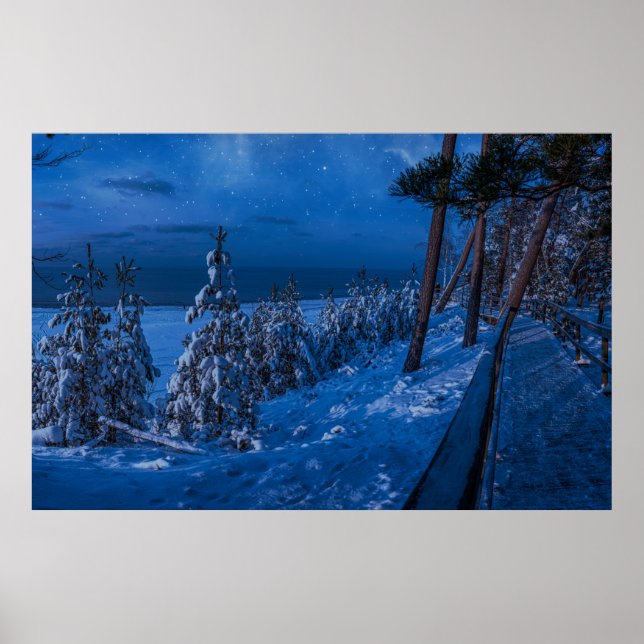 Forest path at winter night poster (Front)