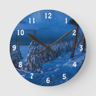 Forest path at winter night round clock