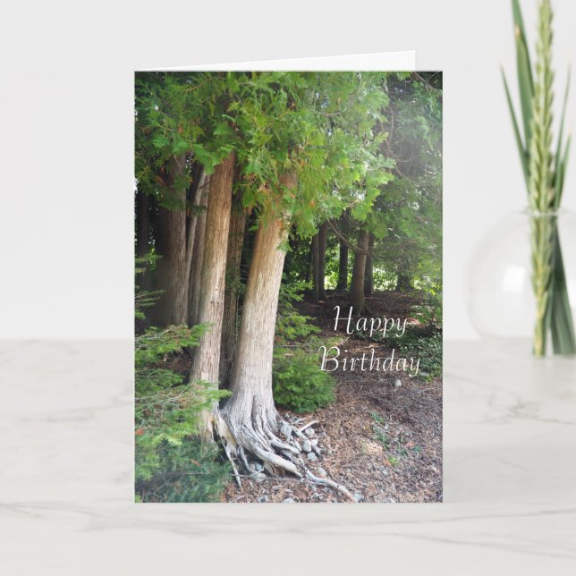 Forest Path Birthday Card (Front)