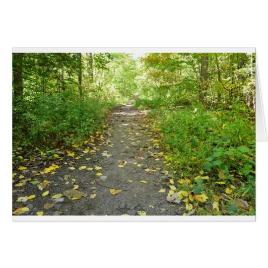 Forest Path Blank Note Card