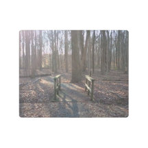 Forest Path Bridge Metal Wall Art