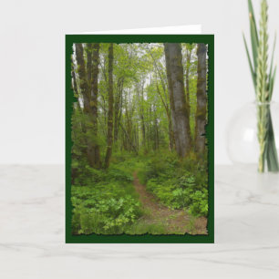 FOREST PATH Greeting-Card Gift Collection Card