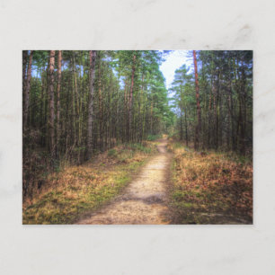 Forest Path HDR Art postcard