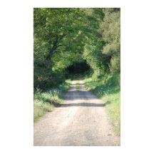 Forest path or dirt road in the country side