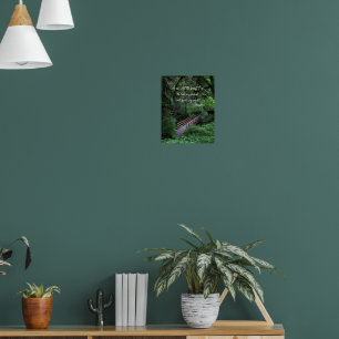 Forest Path Photo with John Muir Quote Poster