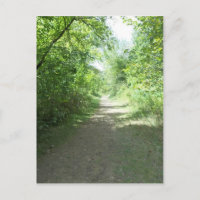 Forest Path