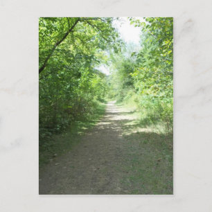 Forest Path Postcard