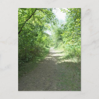 Forest Path Postcard