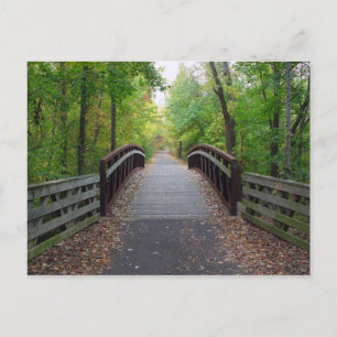 Forest Path Postcard
