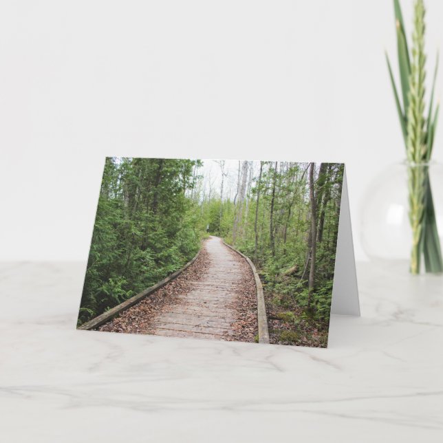 Forest Pathway - Blank Card (Front)