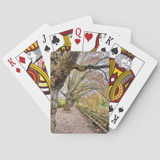 Forest Pathway Playing Cards (Back)