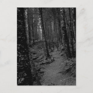 Forest Postcard