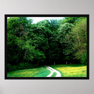 Forest Poster