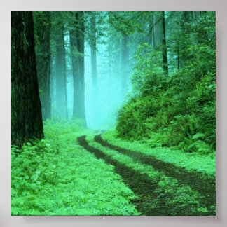 forest poster