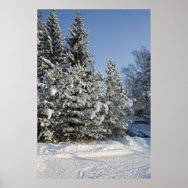 Forest Poster (Front)