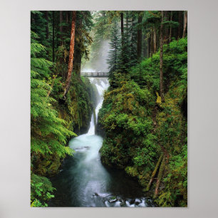 Forest Print