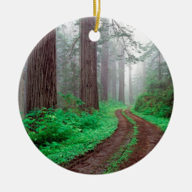 Forest Redwood Ceramic Tree Decoration (Front)