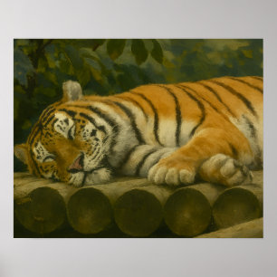 Forest Reverie – Resting Tiger in Jungle Light Poster