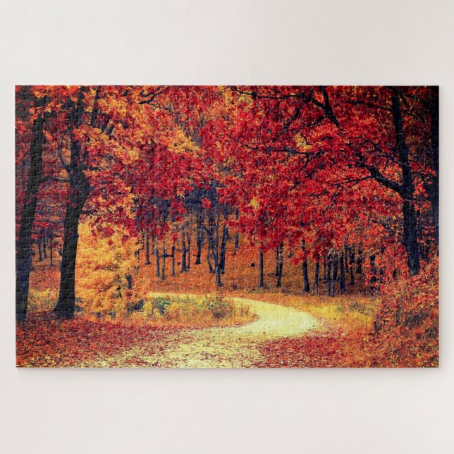 Forest Road - Autumn - Beautiful Season - Fall Jigsaw Puzzle (Horizontal)