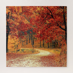 Forest Road - Autumn - Beautiful Season Jigsaw Puzzle
