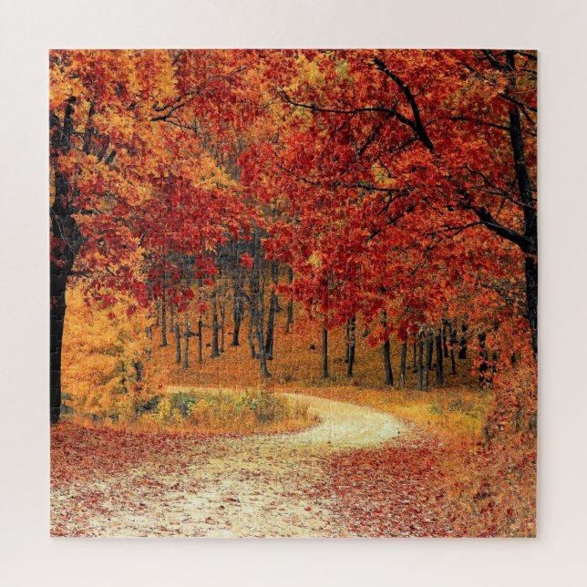 Forest Road - Autumn - Beautiful Season Jigsaw Puzzle (Vertical)