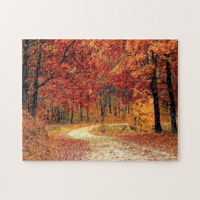 Forest Road - Fall - Beautiful Autumn Jigsaw Puzzle (Horizontal)