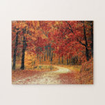 Forest Road - Fall Jigsaw Puzzle<br><div class="desc">Forest Road - Fall</div>