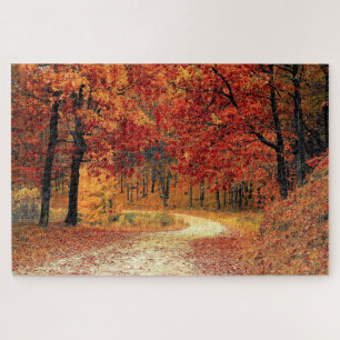 Forest Road - Fall Jigsaw Puzzle