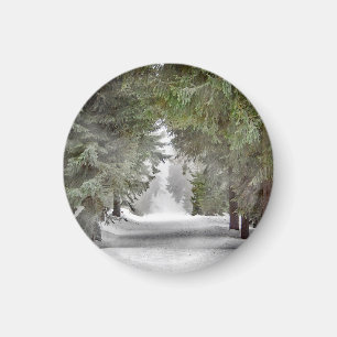 Forest Road Snow Pine Trees Photo Magnet