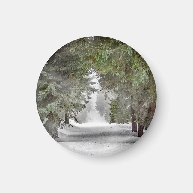 Forest Road Snow Pine Trees Photo Magnet (Front)