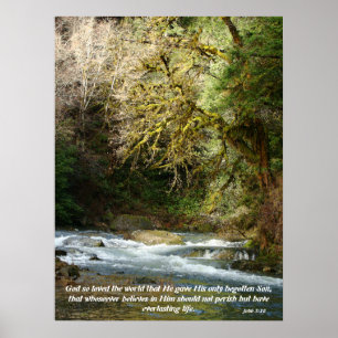 Forest & Rushing River John 3:16 Print