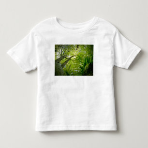 Forest scene in Acadia National Park, Maine. Toddler T-Shirt