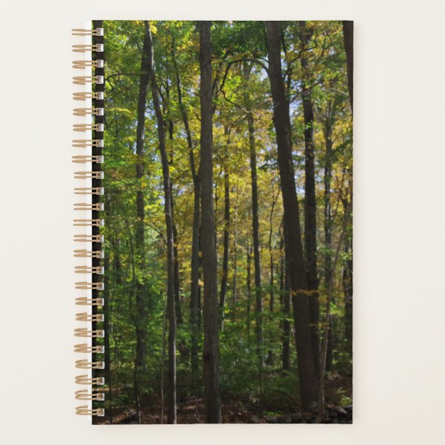 Forest Scene Planner (Front)
