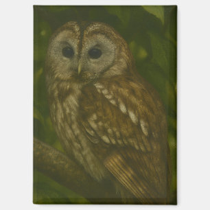 Forest Sentinel – Tawny Owl Wildlife Art Magnet
