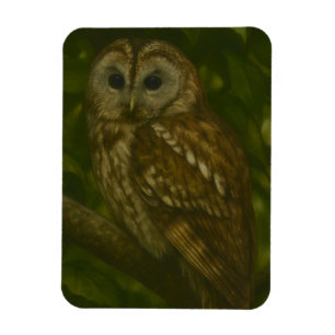 Forest Sentinel – Tawny Owl Wildlife Art Magnet